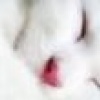 Benutzeravatar