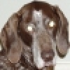 Benutzeravatar