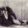 Benutzeravatar