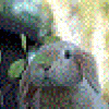 Benutzeravatar